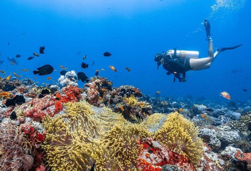 Finolhu Baa Atoll Maldives, A Member Of Design Hotels
