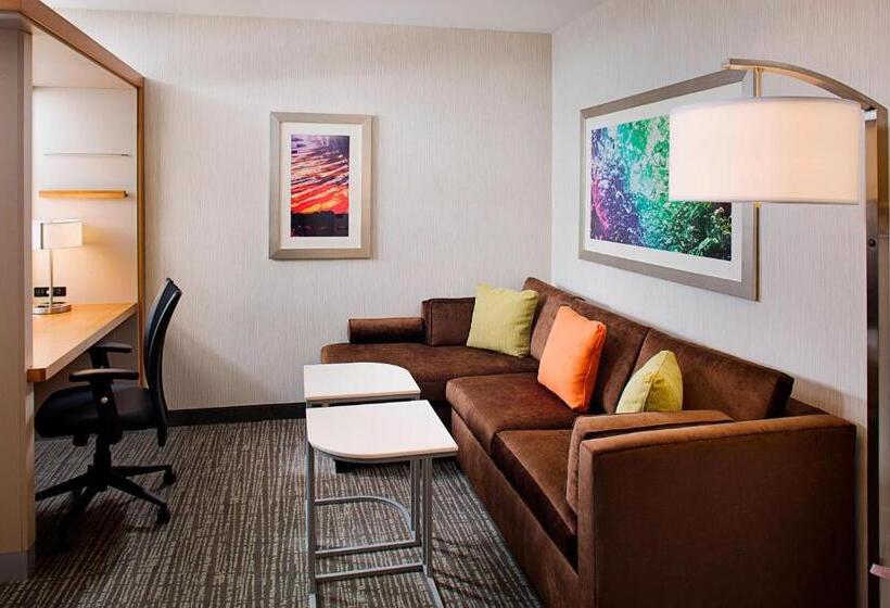 בית מלון כפרי Springhill Suites By Marriott Carle Place Garden City