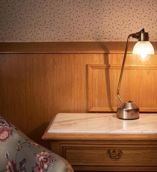 Fotos del hotel Gran Hotel Ailen:  13