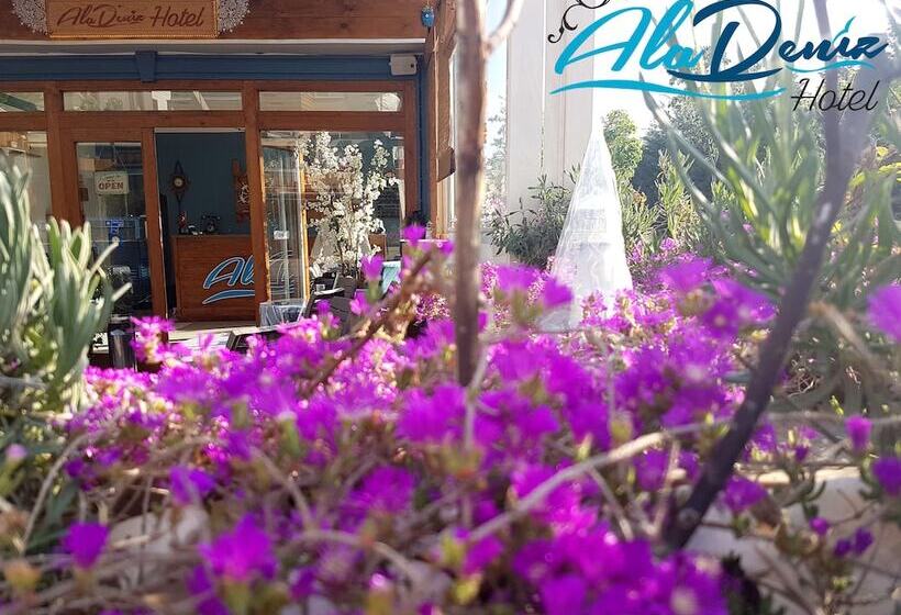 Fotos del hotel Aladeniz:  43