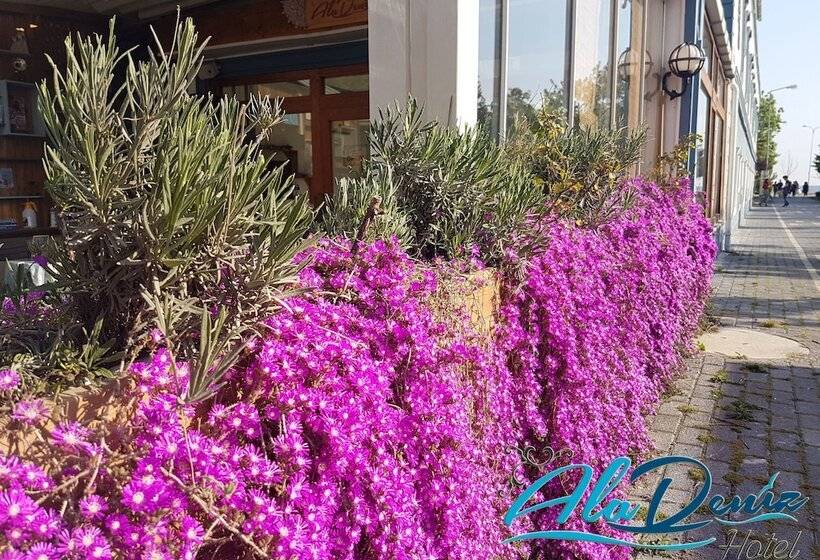 Fotos del hotel Aladeniz:  42