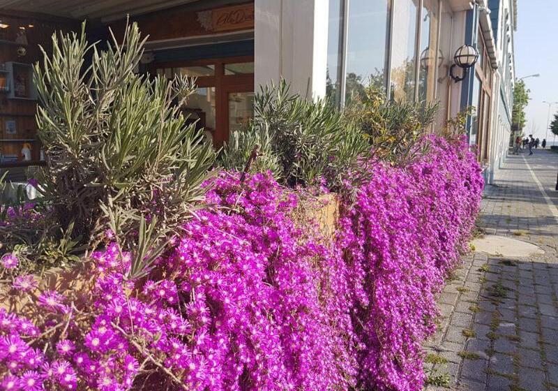 Fotos del hotel Aladeniz:  13