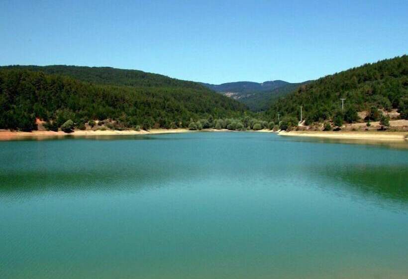 فندق Umur