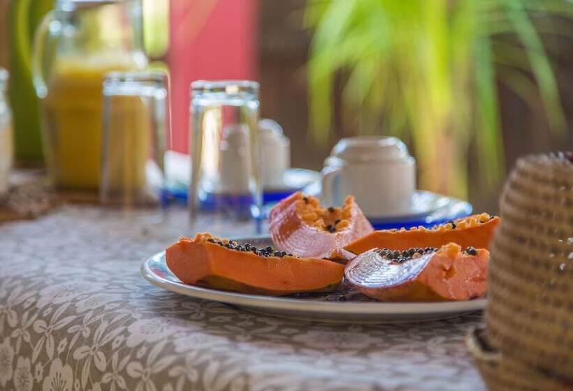 تختخواب و صبحانه Bebel Kite House