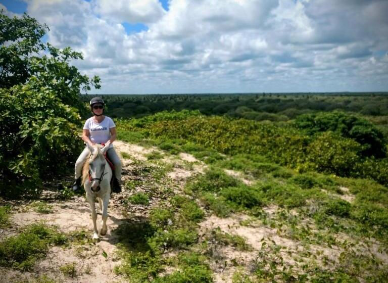 مبيت وإفطار Castelo Vendom Ecolodge Parajuru