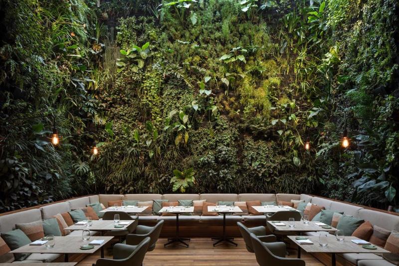 Fotos del hotel Emiliano Rio:  41