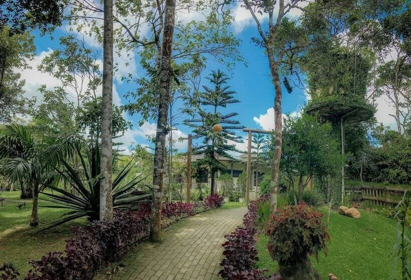 فندق Vale Das Nuvens