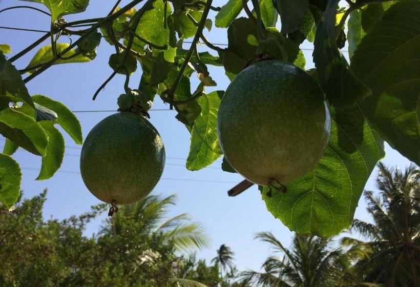 مبيت وإفطار Pousada Kite Guajiru