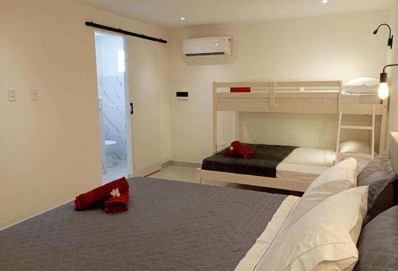مبيت وإفطار Pousada Casa Do Cocotier