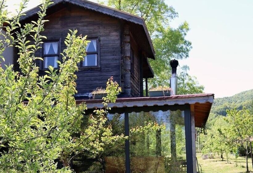 צימר Vira Creek House