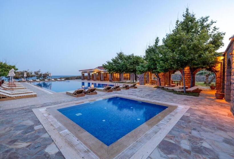 هتل Cinarli Kasri