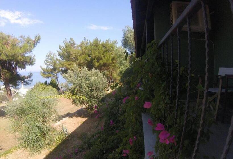 ホテル Rainbow Bay Ozdere Beach