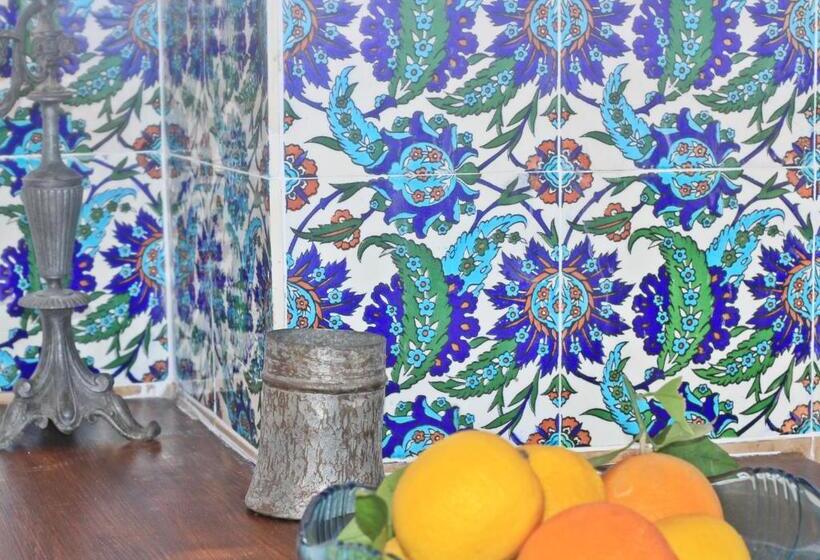 هتل Kalkan Turk Evi