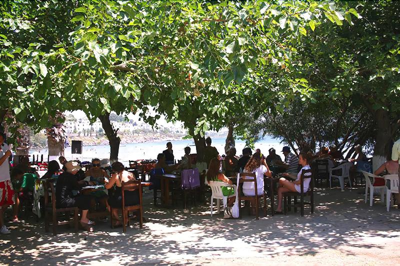 فندق Meteor Beach