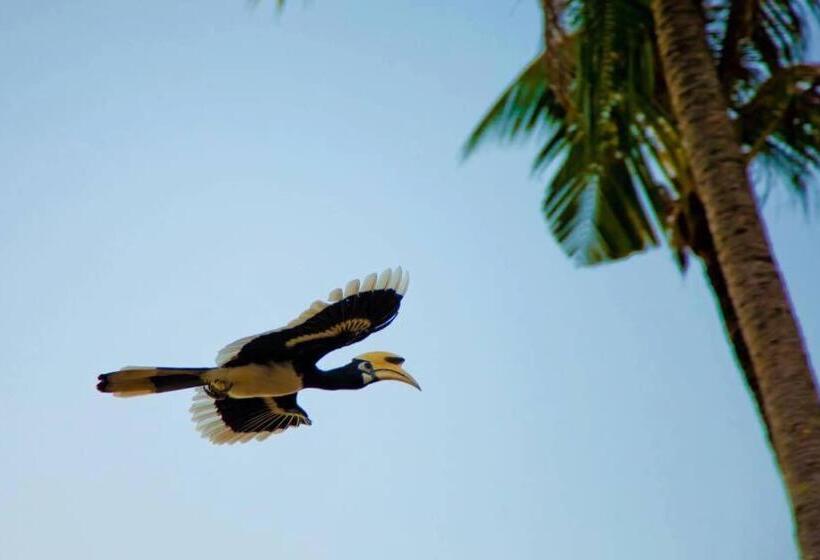 تختخواب و صبحانه Baan Anattaya Koh Yao Noi