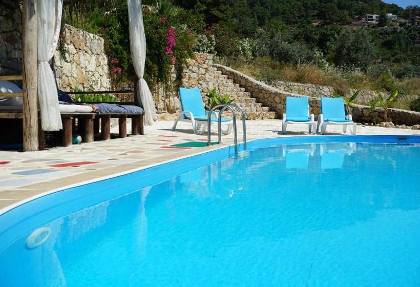 تختخواب و صبحانه Honey Hill Faralya Forest Cabins By The Sea
