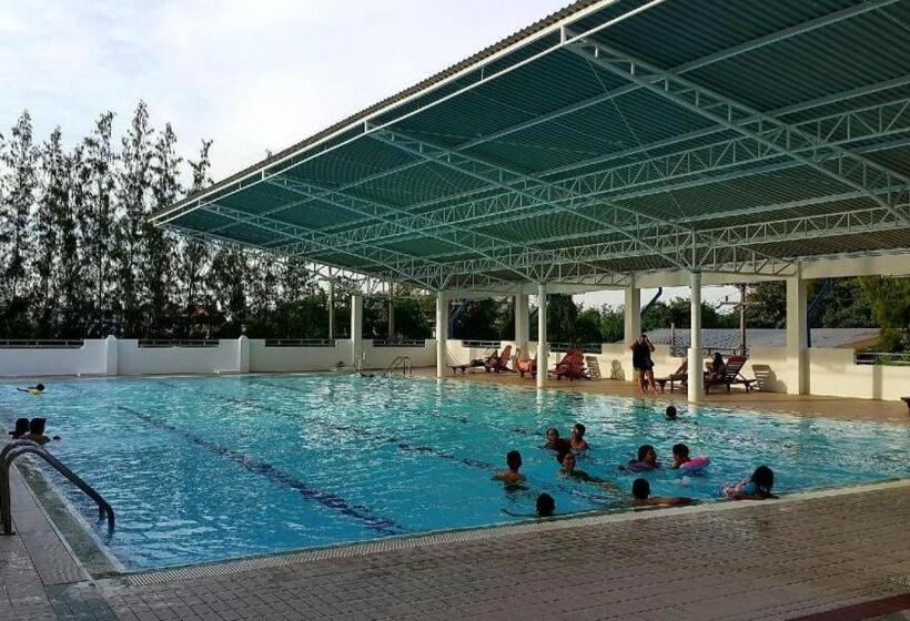The Pine Resort