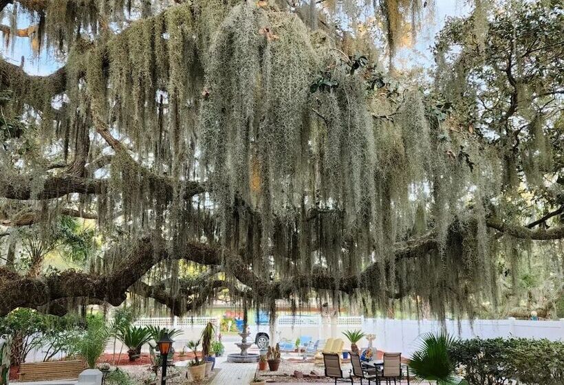 تختخواب و صبحانه Tybee Island Inn