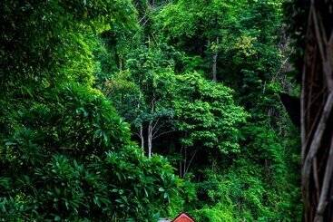 هتل Flora Creek Resort & Garden Chiang Mai