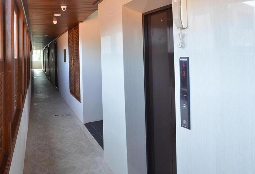 هاستل David Residence