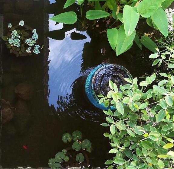 تختخواب و صبحانه Villa Albizia, Chiang Mai