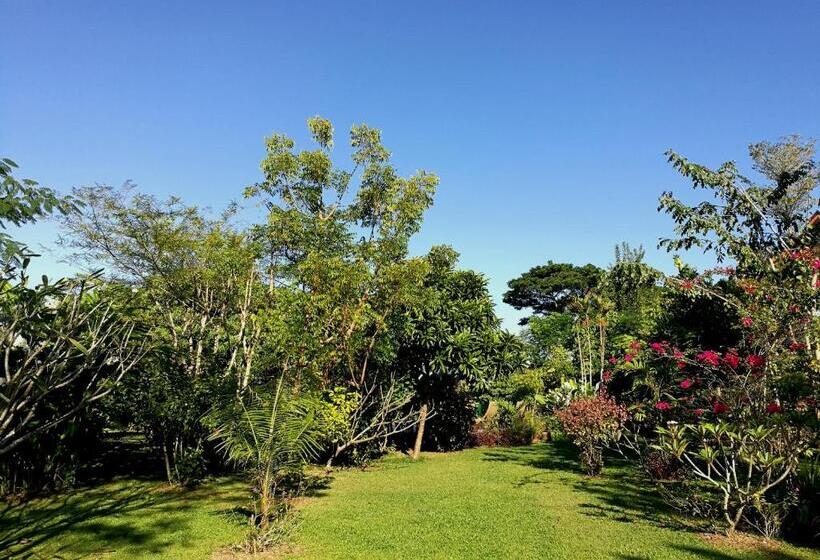 تختخواب و صبحانه Villa Albizia, Chiang Mai