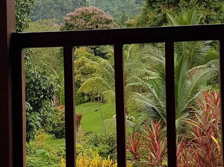 Phanom Bencha Mountain Resort