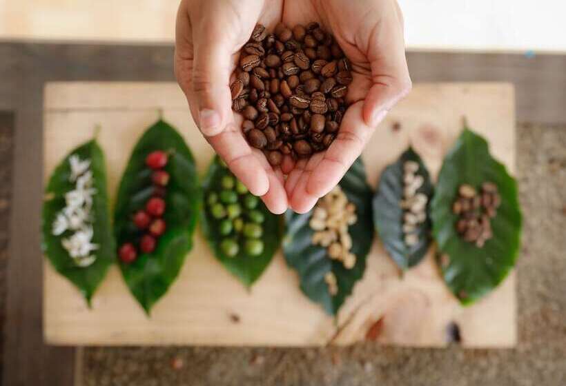 فندق ريفى Hacienda Boutique Santa Rosanna