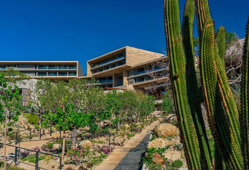 فندق The Residences At Solaz, A Luxury Collection Resort, Los Cabos A Marriott