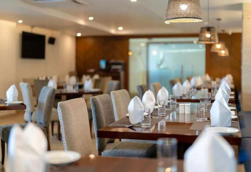 호텔 Cygnett Inn Paras