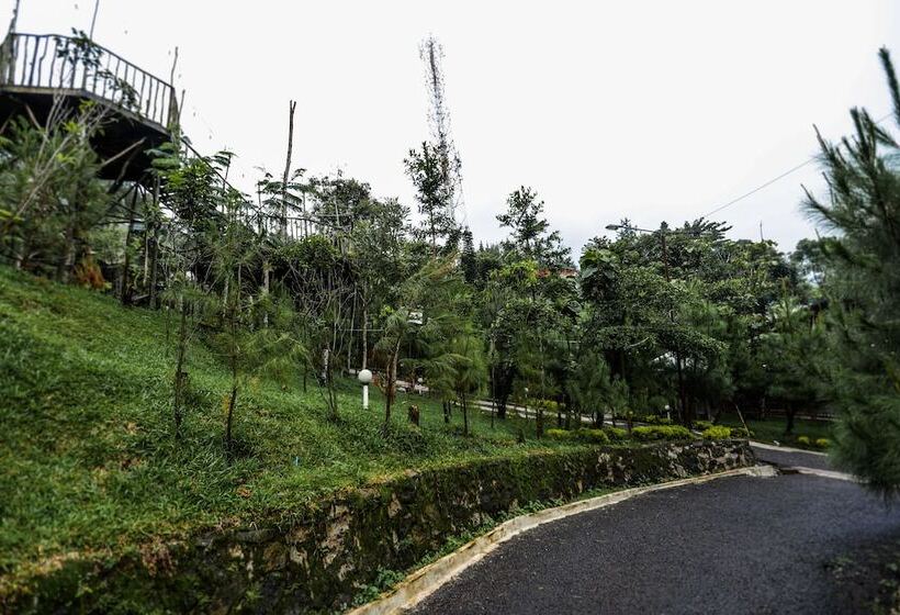 فندق Miracle Signature Hills