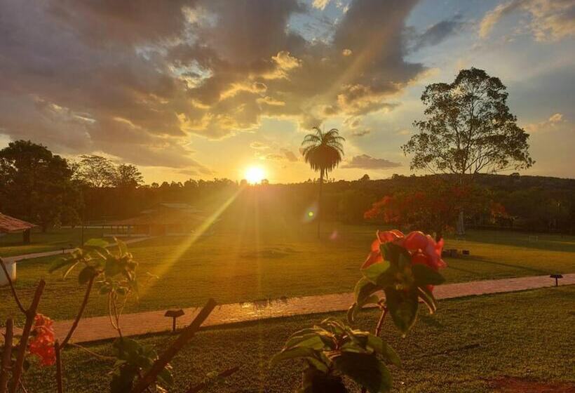 リゾートホテル Sertão Veredas Hotel Fazenda