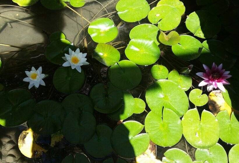 هتل Filoxenia Sea & View