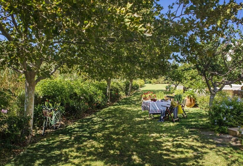 هتل Nereids Apartments