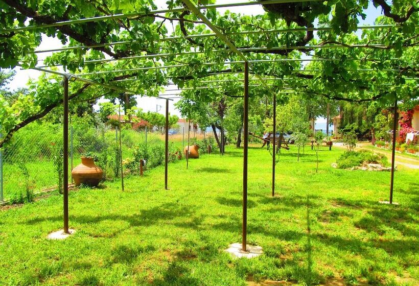 هتل Pandora Studios