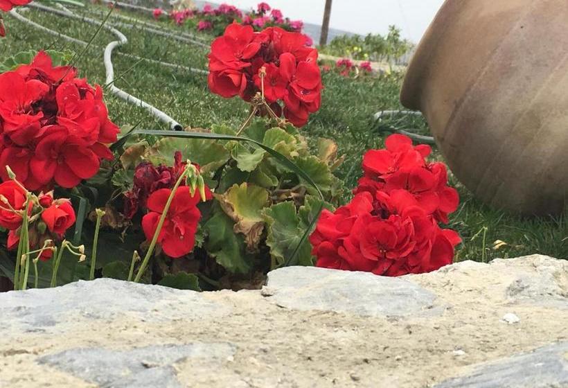 Kostas Rooms & Apartments