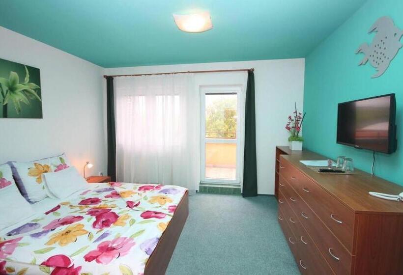 酒店 Apartmány, Penzion, Wellness U Zlaté Rybky