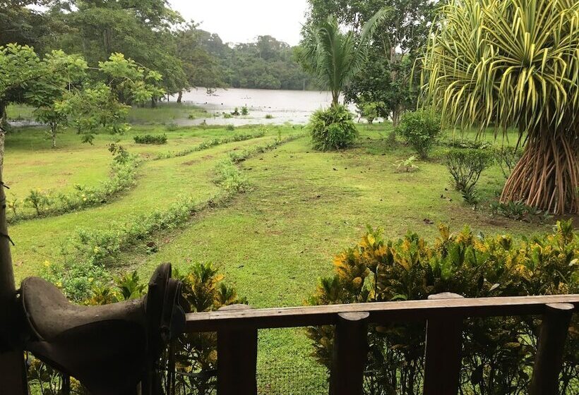 فندق Caño Negro Wetlands Lodge