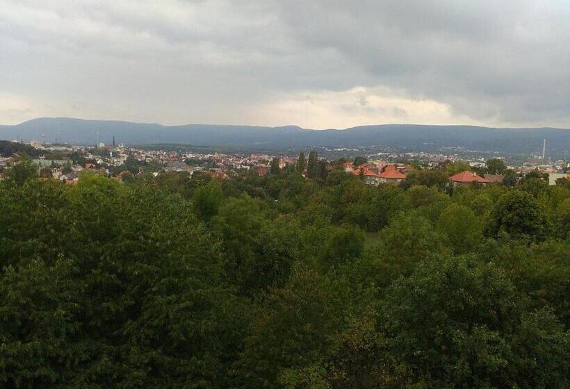 هتل Panorama