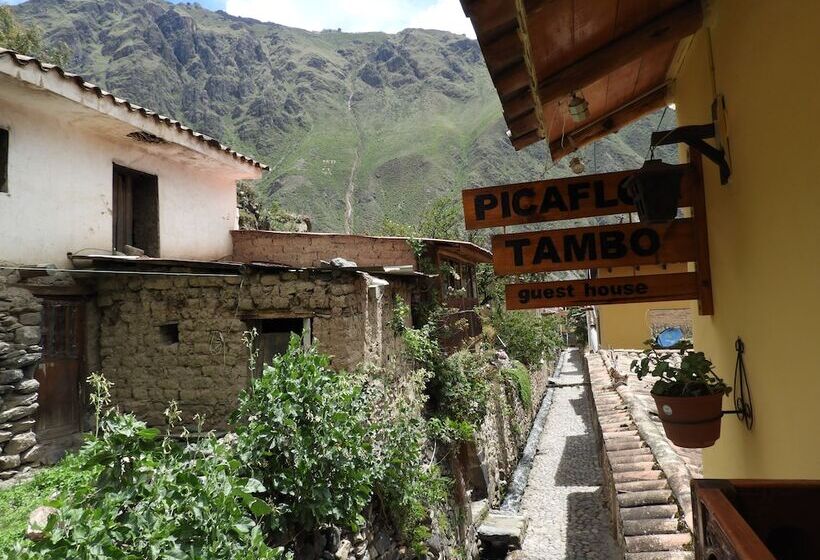 هتل Picaflor Tambo Guest House