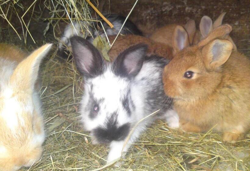 هتل Privat Apartma Ulrych