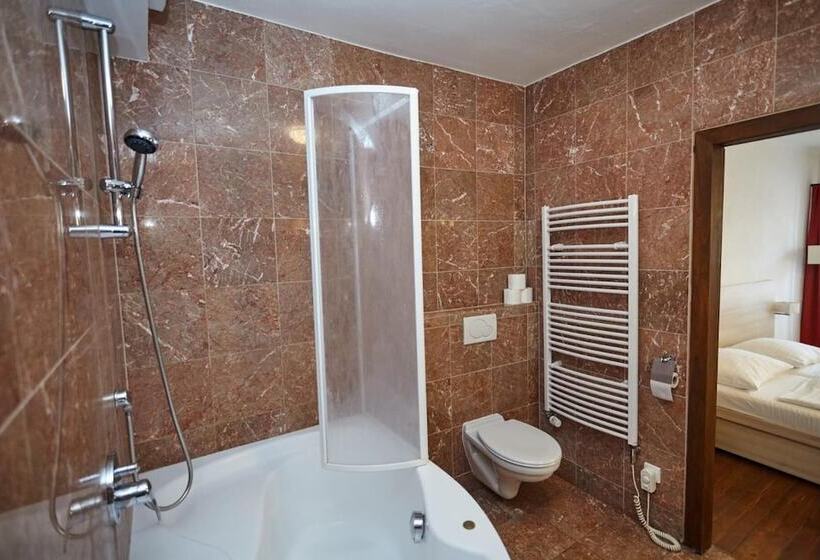 هتل Residence Muzeum Vltavinu