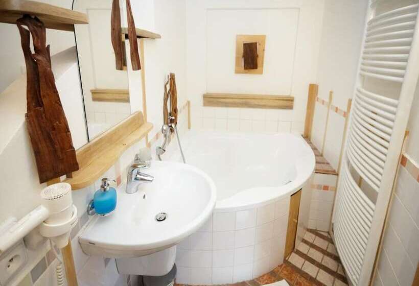 هتل Residence Muzeum Vltavinu