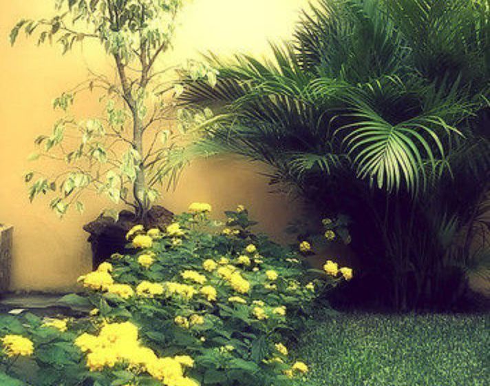Bed & Breakfast The Rock