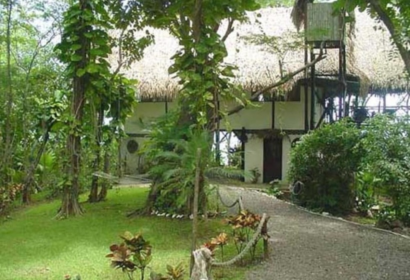 住宿加早餐  Treetops Inn
