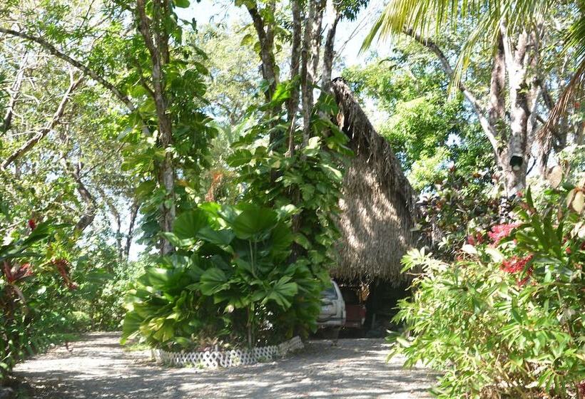 住宿加早餐  Treetops Inn