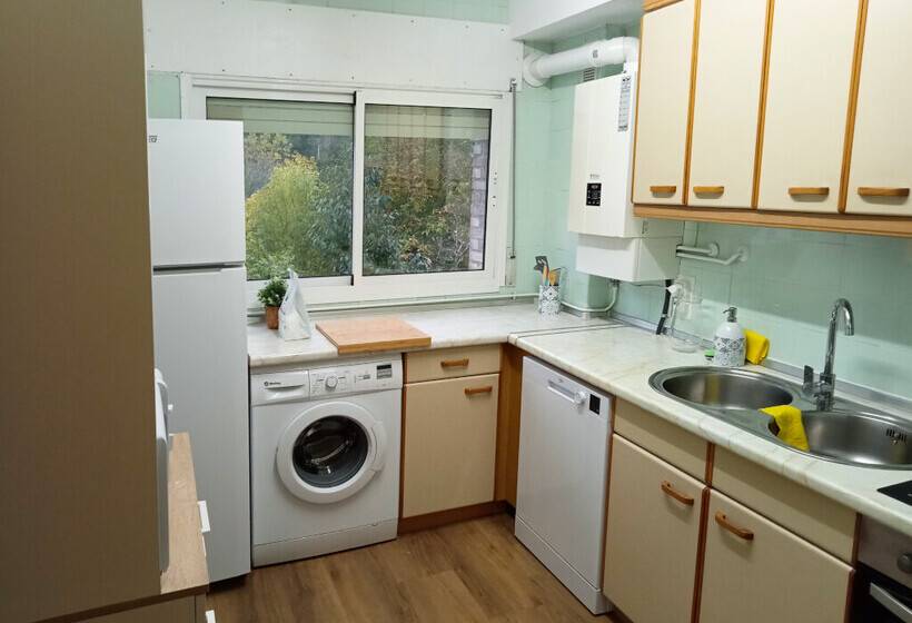 Apartamentos Biescas 3000