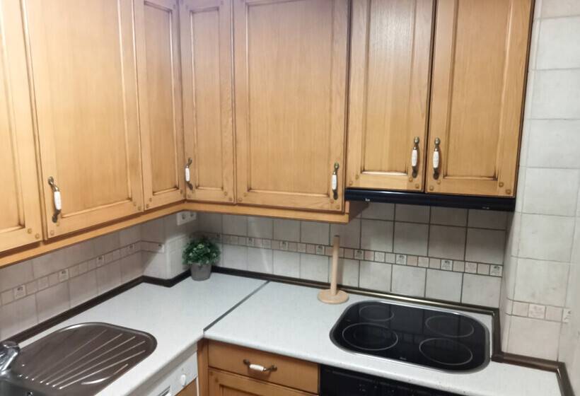 Apartamentos Biescas 3000