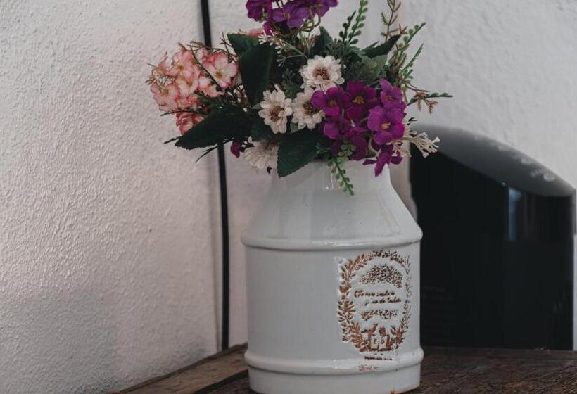 Fotos del hotel Casa Santamaría:  58