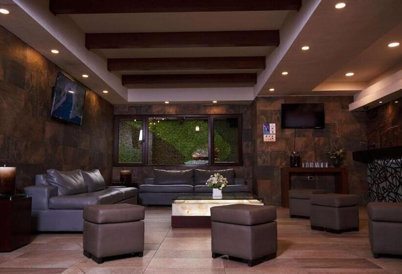 Fotos del hotel Loa Inn Business Centro Puebla:  46